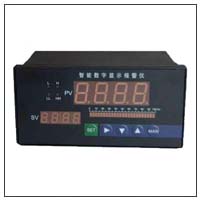XMT-200系列 智能雙輸入數(shù)顯儀